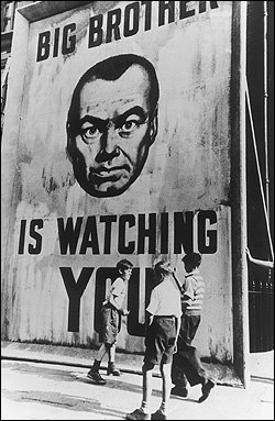 big_brother_250-749430.jpg