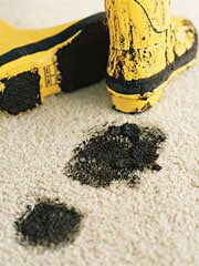 1203_home_carpet_dirt.jpg