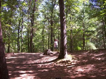 The Good Human Visits Walden Pond, Looks For H.D.Thoreau, Takes Pictures. 100_0230.jpg