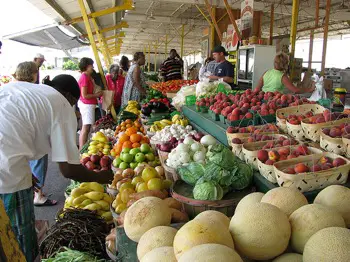 farmstand My New Years Green Resolutions   What Are Yours?