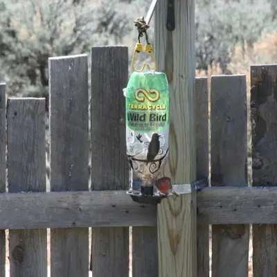 Book Review & Giveaway Revolution in a Bottle: How TerraCycle Is Redefining Green Business. birdfeeder Book Review & Giveaway Revolution in a Bottle: How TerraCycle Is Redefining Green Business.