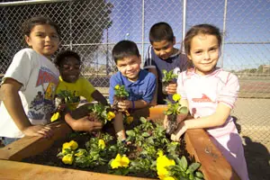 playday kids Going Green Has Never Been So Fun!