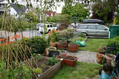 Photos Of Front Yards Turned Into Edible Gardens. ediblegarden7 Photos Of Front Yards Turned Into Edible Gardens.