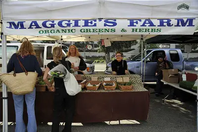 To Organic Or Not To Organic Its An Obvious Choice. organics To Organic Or Not To Organic Its An Obvious Choice.