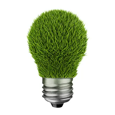 grassbulb Can One Person Really Make A Difference?