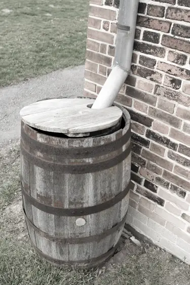 How To Harvest Rainwater For Household Use. rainbarrel How To Harvest Rainwater For Household Use.
