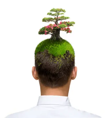 treehead Thinking Outside The Green Box.