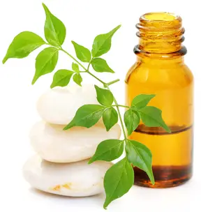 essentialoils 9 Ways To Use Essential Oils In Place Of Toxic Chemicals.