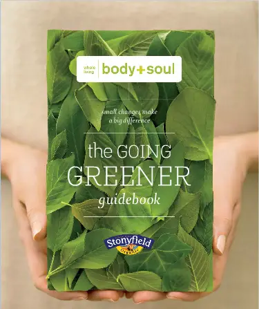 goinggreenerbook 350+ Small Eco Changes That Can Make A Big Difference.