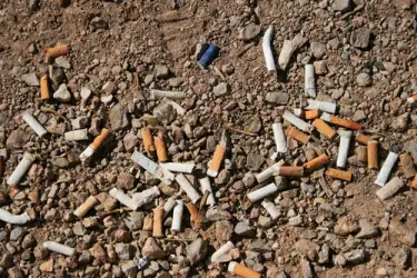 The Environmental Impact Of Discarded Cigarettes. cigarettelitter The Environmental Impact Of Discarded Cigarettes.