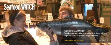 montereybayaquarium1 Tips For Buying Fish You Can Feel Good About.