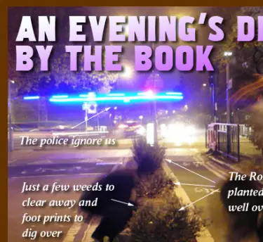 guerrillagardening What Is Seed Bombing & Guerrilla Gardening?