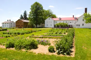 coop 5 Ways For Apartment Dwellers To Grow Their Own Food.