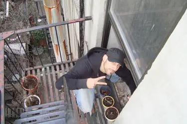 mike 5 Ways For Apartment Dwellers To Grow Their Own Food.