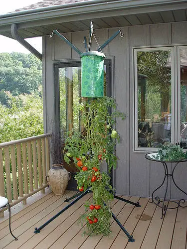 topsy 5 Ways For Apartment Dwellers To Grow Their Own Food.