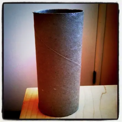 toiletpapertube 11 Uses For Cardboard Toilet Paper Tubes